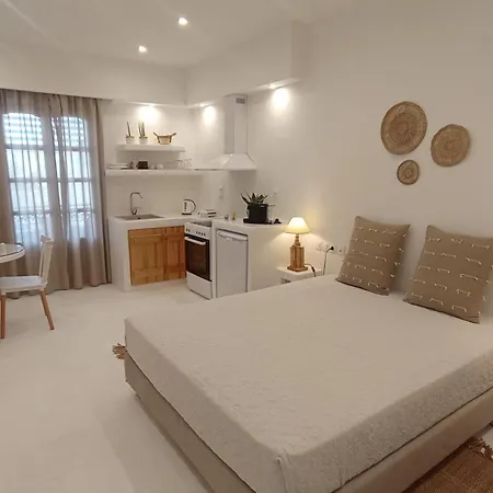 Evdion Naxos Town Apartment