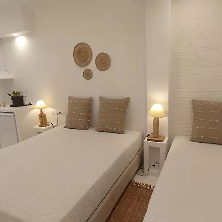 公寓 Evdion Naxos Town Naxos City