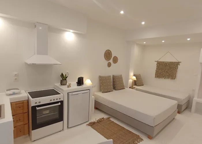 Evdion Naxos Town Апартаменты Naxos City